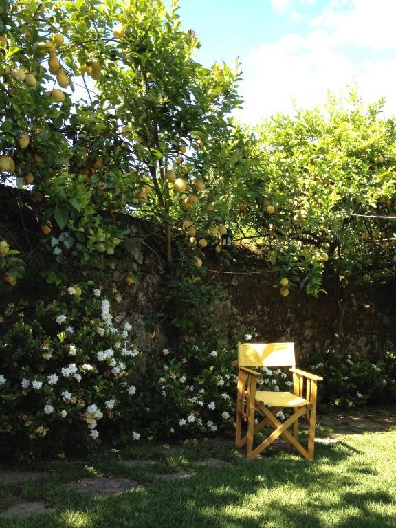 Отель Casa Do Pinheiro - Turismo De Habitacao Понте-де-Лима Экстерьер фото
